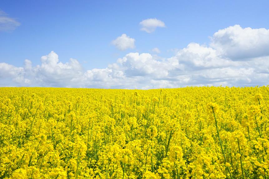 Why Is Organic Farming in Ireland Challenging?