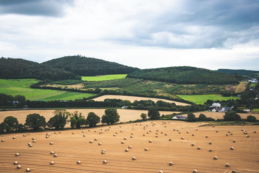 What Are Sustainable Organic Farming Practices in Ireland?